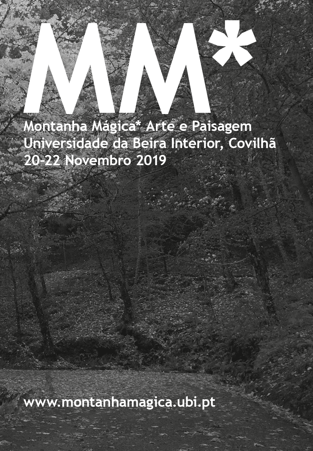 MONTANHA MÁGICA* 2019 – LIVRO DE RESUMOS